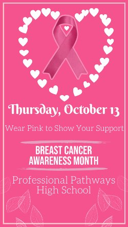Breast Cancer Awareness, Wear Pink to Show your Support